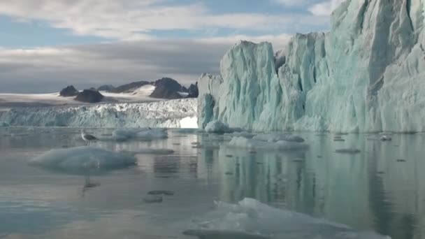 Havet bergen och stora isberg reflekterande vatten. — Stockvideo