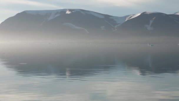 Montanhas marítimas e grandes icebergs que refletem a água . — Vídeo de Stock