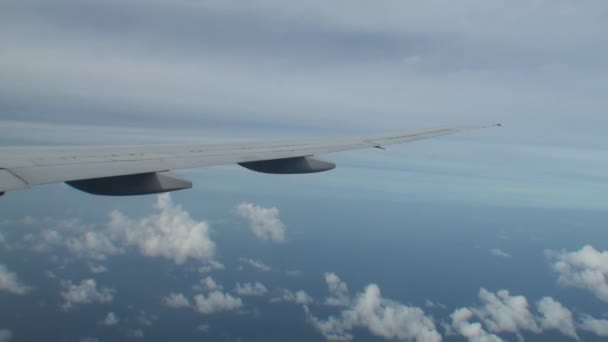 비행기 창에서 몰디브 섬 조감도. — 비디오