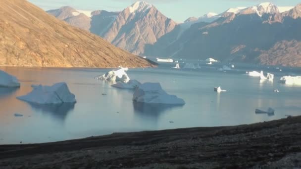 Морські гори та великі айсберги, що відображають воду . — стокове відео