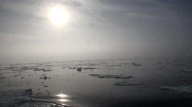 Okyanus buzdağları ve Arctic buz arasında şafak.