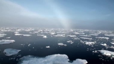 Gökkuşağı Okyanusu buzdağları ve Arctic buz arasında.