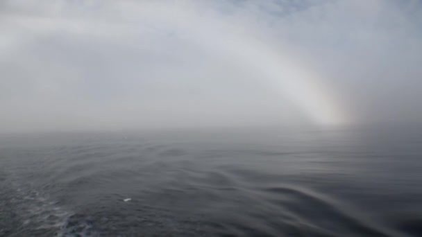 Rainbow in ocean among icebergs and ice in Arctic. — Stock Video