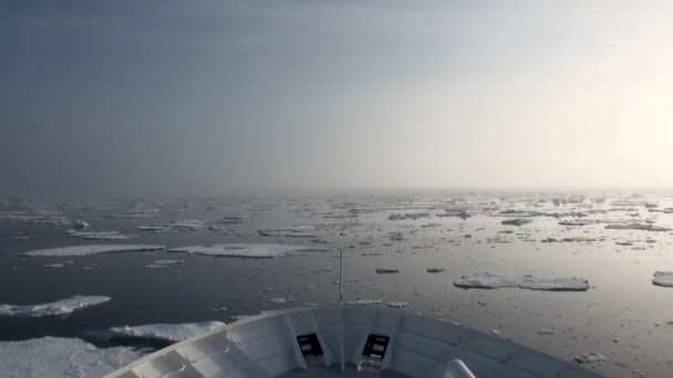 Amanecer en el océano entre icebergs y hielo en el Ártico . — Vídeos de Stock