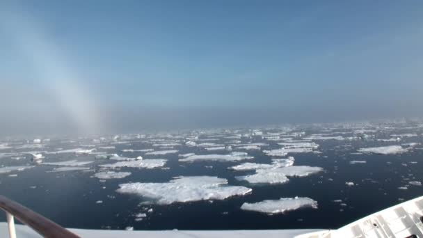 Regnbåge i havet bland isberg och is i Arktis. — Stockvideo