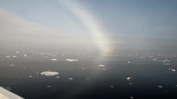 Tęcza w Oceanie wśród gór lodowych i lodu w Arktyce. — Wideo stockowe