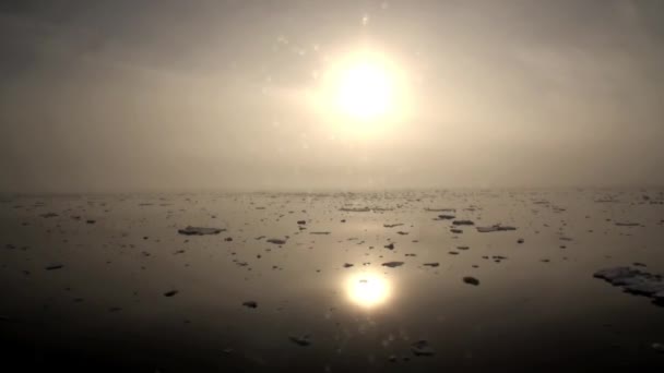 Solnedgången i havet bland isberg och is i Arktis. — Stockvideo