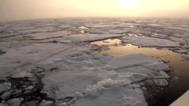 Solnedgången i havet bland isberg och is i Arktis. — Stockvideo
