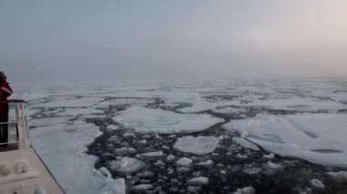 Buzdağları ve Arctic buz arasında Okyanusu günbatımı.