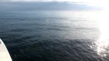 Okyanus buzdağları ve Arctic buz arasında şafak.