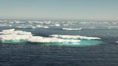 Deniz Grönland etrafında yüzen Iicebergs.