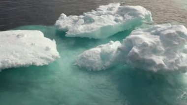 Deniz Grönland etrafında yüzen Iicebergs.