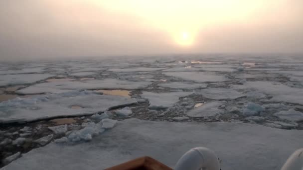 Pôr do sol no oceano entre icebergs e gelo no Ártico . — Vídeo de Stock