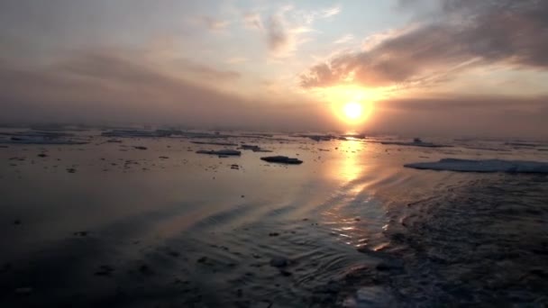 Pôr do sol no oceano entre icebergs e gelo no Ártico . — Vídeo de Stock