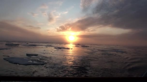 Pôr do sol no oceano entre icebergs e gelo no Ártico . — Vídeo de Stock