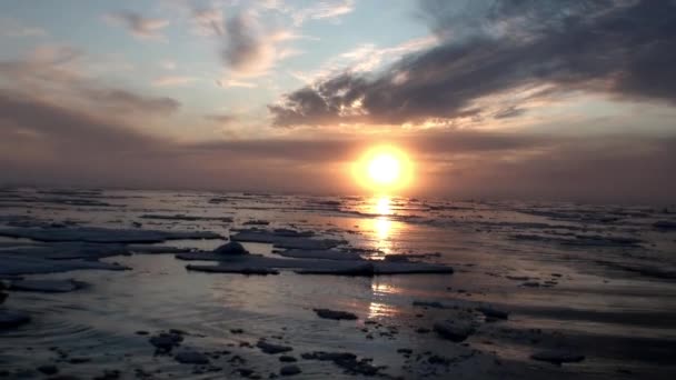 Ηλιοβασίλεμα στον ωκεανό μεταξύ παγόβουνα και πάγου στην Αρκτική. — Αρχείο Βίντεο