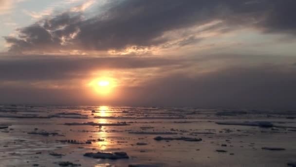 Ηλιοβασίλεμα στον ωκεανό μεταξύ παγόβουνα και πάγου στην Αρκτική. — Αρχείο Βίντεο