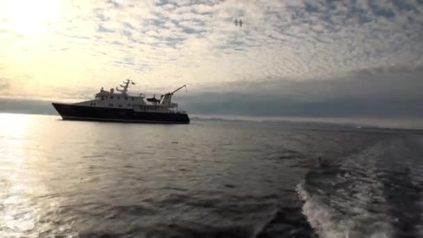 Dawn in Oceaan onder ijsbergen en ijs in Noordpoolgebied. — Stockvideo