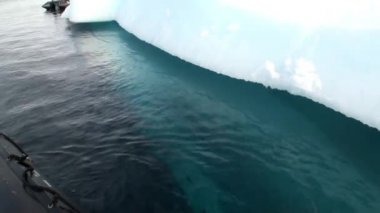 Büyük Iicebergs Denizi çevresinde Grönland yüzen.