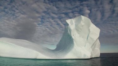 Büyük Iicebergs Denizi çevresinde Grönland yüzen.