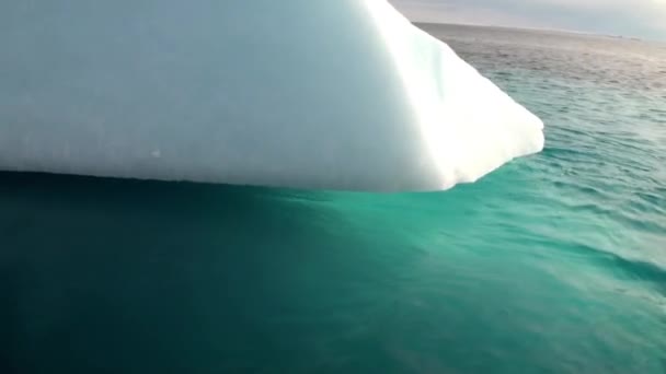 在格陵兰岛附近的海中漂浮的大 Iicebergs. — 图库视频影像