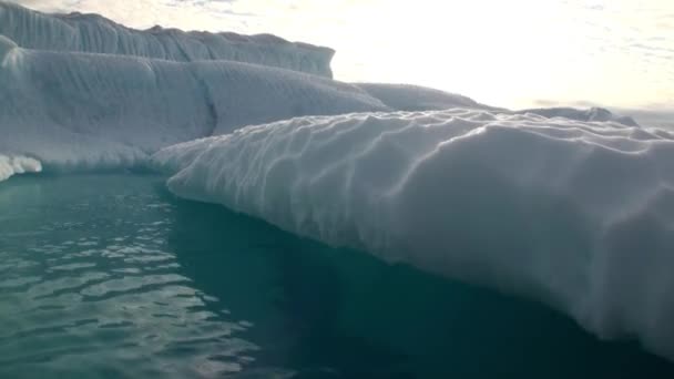 그린 랜드 주변 바다에 떠 있는 큰 Iicebergs. — 비디오