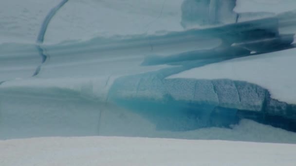 Grote Iicebergs zwevend in de zee rond Groenland. — Stockvideo