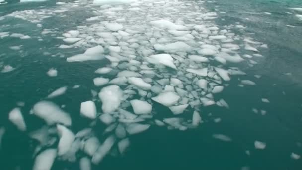 Nagy Iicebergs, ezen a környéken: grönlandi-tengerben úszó. — Stock videók