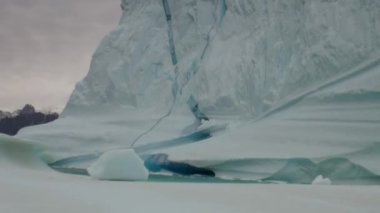 Büyük Iicebergs Denizi çevresinde Grönland yüzen.