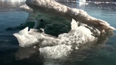 Grönland çevresinde denizde yüzen küçük Iicebergs.