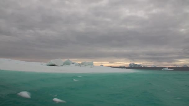 在格陵兰岛附近的海中漂浮的大 Iicebergs. — 图库视频影像