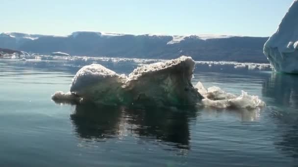 Pequeños icebergs flotando en el mar alrededor de Groenlandia . — Vídeos de Stock
