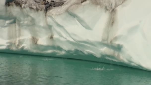 Grote Iicebergs zwevend in de zee rond Groenland. — Stockvideo
