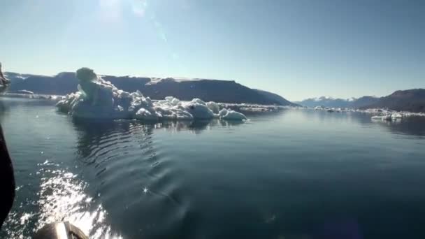 Kleine Eisberge treiben im Meer um Grönland. — Stockvideo