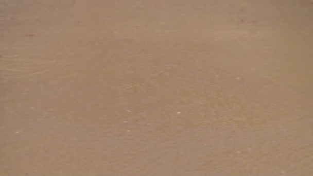 바다 파도 모래 해변에서 서핑. 몰디브입니다. 클로즈업. — 비디오