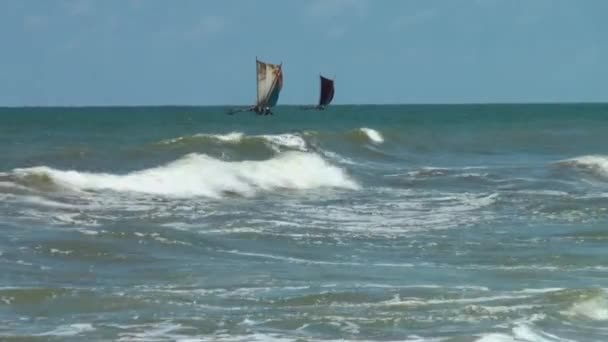 Sea waves surf on sandy beach. Maldives. Close up. — Stock Video