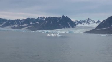 Martılar sit ve Arctic bir buzdağı float.