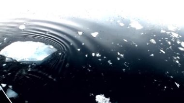 Bir buz parçası Buzkıran Arctic içinde yanında satışa çıkardı.