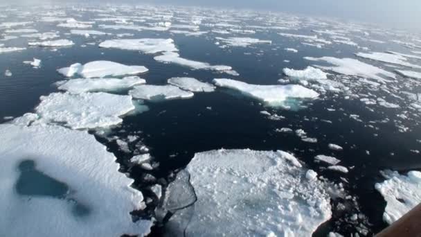 Flotó junto a un rompehielos en el Ártico . — Vídeo de stock