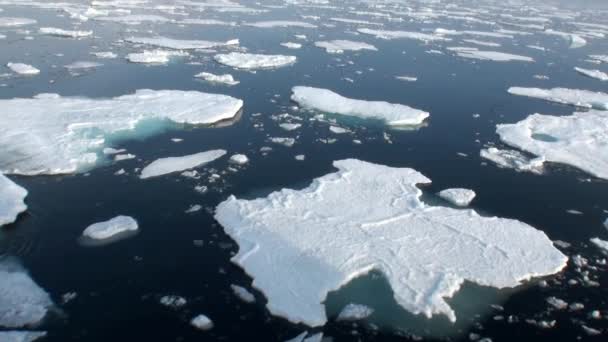 Galleggiato accanto a un rompighiaccio in Artico . — Video Stock