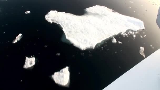 Flotté à côté d'un brise-glace flottant dans l'Arctique . — Video