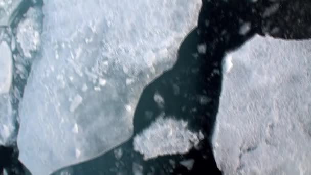 Le brise-glace brise la glace et avance . — Video