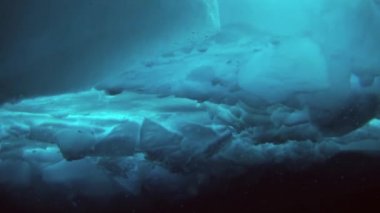 Arctic coğrafi Kuzey Kutbu'ndaki tüplü dalış.