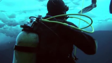 Arctic coğrafi Kuzey Kutbu'ndaki tüplü dalış.