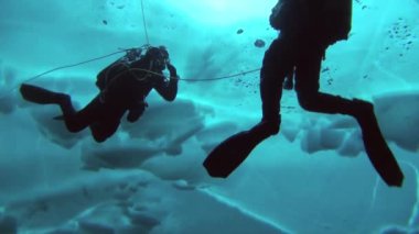 Arctic coğrafi Kuzey Kutbu'ndaki tüplü dalış.