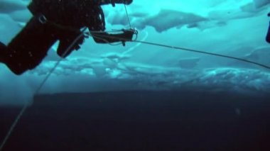 Arctic coğrafi Kuzey Kutbu'ndaki tüplü dalış.