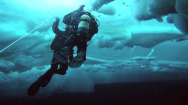 Arctic coğrafi Kuzey Kutbu'ndaki tüplü dalış.