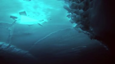 Arctic coğrafi Kuzey Kutbu'ndaki tüplü dalış.