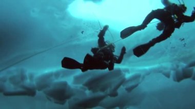 Arctic coğrafi Kuzey Kutbu'ndaki tüplü dalış.