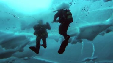 Arctic coğrafi Kuzey Kutbu'ndaki tüplü dalış.